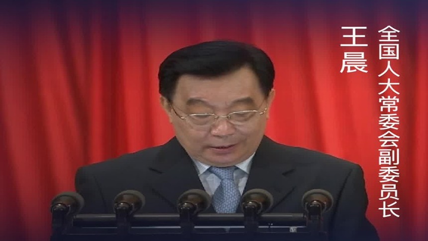 王晨：坚决反对外来干涉