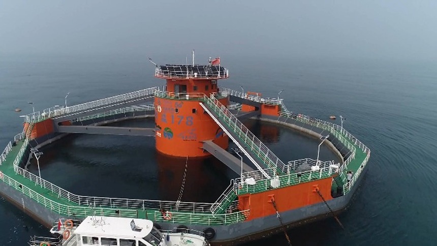 山东长岛：耕海牧渔 打造海上“绿水青山”