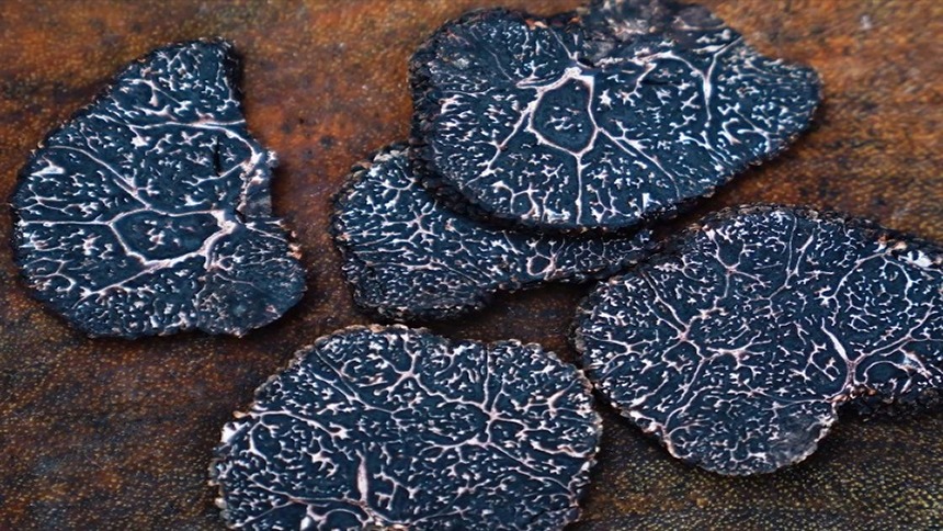 云南陆良：“黑球球”成了“金蛋蛋”