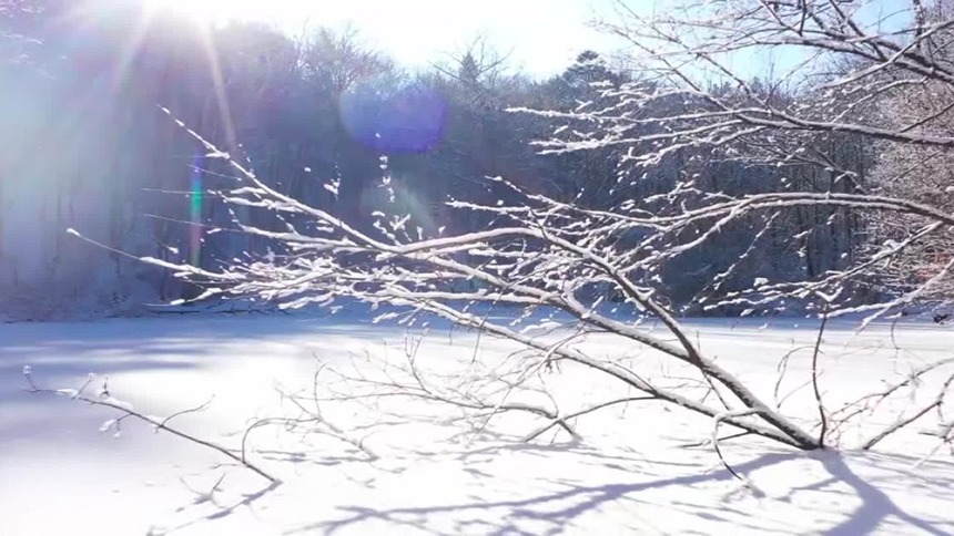千城胜景丨吉林蛟河：冬日雪韵
